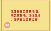 活体野生灵芝基地(昆明灵芝基地：活体栽培，保护野生灵芝资源)