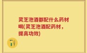 灵芝泡酒都配什么药材喝(灵芝泡酒配药材，提高功效)