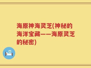 海原神海灵芝(神秘的海洋宝藏——海原灵芝的秘密)