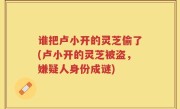 谁把卢小开的灵芝偷了(卢小开的灵芝被盗，嫌疑人身份成谜)