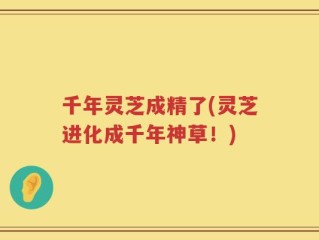 千年灵芝成精了(灵芝进化成千年神草！)