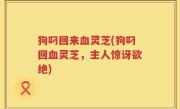 狗叼回来血灵芝(狗叼回血灵芝，主人惊讶欲绝)