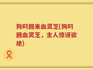 狗叼回来血灵芝(狗叼回血灵芝，主人惊讶欲绝)