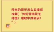 种出的灵芝怎么卖掉呢视频(“如何营销灵芝种植？赚取丰厚利润！”)