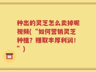 种出的灵芝怎么卖掉呢视频(“如何营销灵芝种植？赚取丰厚利润！”)