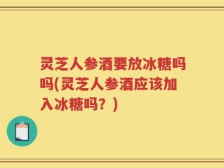 灵芝人参酒要放冰糖吗吗(灵芝人参酒应该加入冰糖吗？)