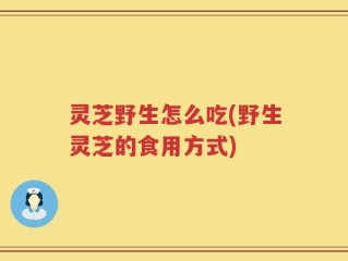 灵芝野生怎么吃(野生灵芝的食用方式)