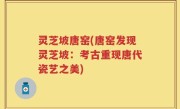 灵芝坡唐窑(唐窑发现灵芝坡：考古重现唐代瓷艺之美)