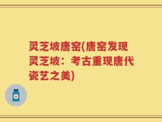 灵芝坡唐窑(唐窑发现灵芝坡：考古重现唐代瓷艺之美)
