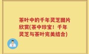 茶叶中的千年灵芝图片欣赏(茶中珍宝！千年灵芝与茶叶完美结合)