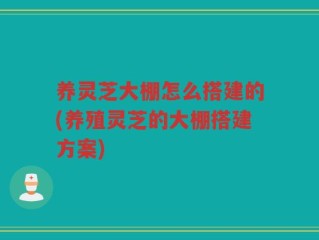 养灵芝大棚怎么搭建的(养殖灵芝的大棚搭建方案)