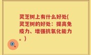 灵芝树上有什么好处(灵芝树的好处：提高免疫力、增强抗氧化能力。)