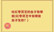 吃红枣灵芝的虫子有哪些(红枣灵芝中有哪些虫子生存？)