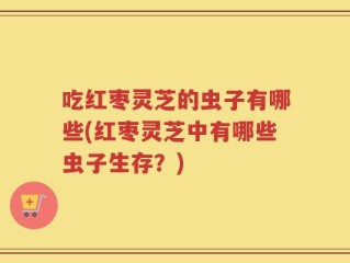 吃红枣灵芝的虫子有哪些(红枣灵芝中有哪些虫子生存？)