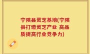 宁陕县灵芝基地(宁陕县打造灵芝产业 高品质提高行业竞争力)