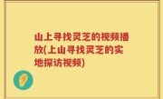 山上寻找灵芝的视频播放(上山寻找灵芝的实地探访视频)