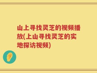 山上寻找灵芝的视频播放(上山寻找灵芝的实地探访视频)