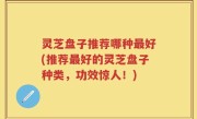 灵芝盘子推荐哪种最好(推荐最好的灵芝盘子种类，功效惊人！)