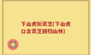 下山虎衔灵芝(下山虎口含灵芝回归山林)