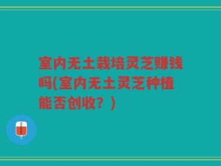 室内无土栽培灵芝赚钱吗(室内无土灵芝种植能否创收？)