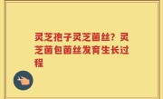 灵芝孢子灵芝菌丝？灵芝菌包菌丝发育生长过程
