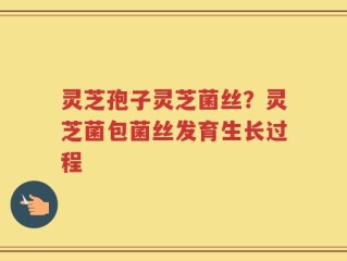 灵芝孢子灵芝菌丝？灵芝菌包菌丝发育生长过程
