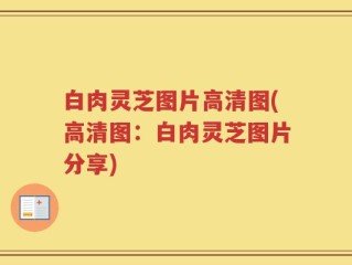 白肉灵芝图片高清图(高清图：白肉灵芝图片分享)