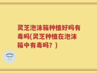 灵芝泡沫箱种植好吗有毒吗(灵芝种植在泡沫箱中有毒吗？)