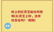 树上的红灵芝能吃吗视频(红灵芝上树，这样吃安全吗？-视频)