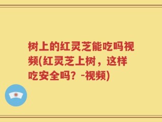 树上的红灵芝能吃吗视频(红灵芝上树，这样吃安全吗？-视频)
