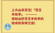 上方山采灵芝(「灵芝丰收季」 ———— 探秘山野灵芝丰收季的收成和安顿之道)