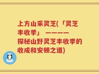 上方山采灵芝(「灵芝丰收季」 ———— 探秘山野灵芝丰收季的收成和安顿之道)