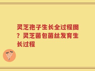 灵芝孢子生长全过程图？灵芝菌包菌丝发育生长过程