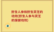 野生人参和野生灵芝的功效(野生人参与灵芝的保健功效)