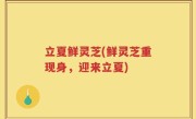 立夏鲜灵芝(鲜灵芝重现身，迎来立夏)