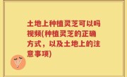土地上种植灵芝可以吗视频(种植灵芝的正确方式，以及土地上的注意事项)