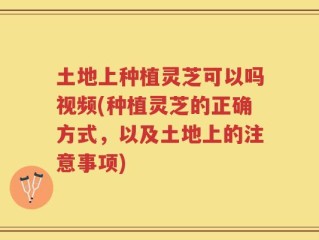 土地上种植灵芝可以吗视频(种植灵芝的正确方式，以及土地上的注意事项)