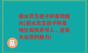 丽水灵芝孢子粉基地图片(丽水灵芝孢子粉基地壮美风景可人，感受大自然的魅力)