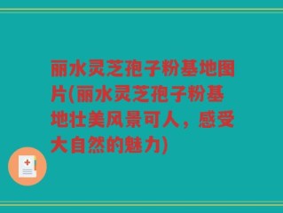 丽水灵芝孢子粉基地图片(丽水灵芝孢子粉基地壮美风景可人，感受大自然的魅力)