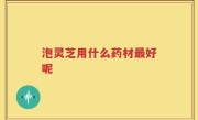 泡灵芝用什么药材最好呢