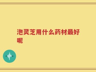 泡灵芝用什么药材最好呢