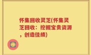 怀集回收灵芝(怀集灵芝回收：挖掘宝贵资源，创造佳绩)