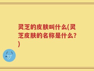 灵芝的皮肤叫什么(灵芝皮肤的名称是什么？)