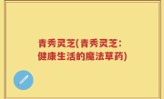 青秀灵芝(青秀灵芝：健康生活的魔法草药)