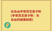 长白山宇哥灵芝孢子粉(宇哥灵芝孢子粉：长白山的健康秘密)