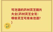 可泡酒的药材灵芝图片大全(药材灵芝全览：哪些灵芝可用来泡酒？)