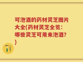 可泡酒的药材灵芝图片大全(药材灵芝全览：哪些灵芝可用来泡酒？)