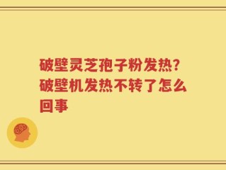 破壁灵芝孢子粉发热？破壁机发热不转了怎么回事