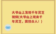 大爷山上发现千年灵芝视频(大爷山上现身千年灵芝，震惊众人！)