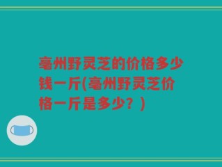 亳州野灵芝的价格多少钱一斤(亳州野灵芝价格一斤是多少？)